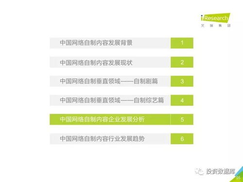 2017年中國網(wǎng)絡(luò)自制內(nèi)容行業(yè)研究報(bào)告 數(shù)字內(nèi)容制作服務(wù)